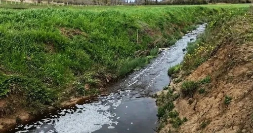 Sinop&rsquo;ta &ccedil;evreyi kirleten tesise 1.6 milyon TL ceza
