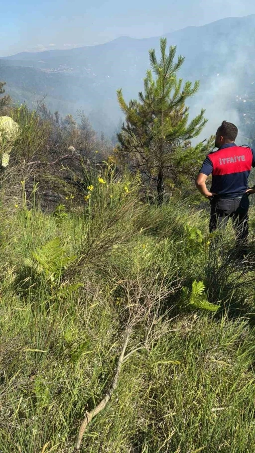 Sinop’ta çıkan orman yangını büyümeden söndürüldü
