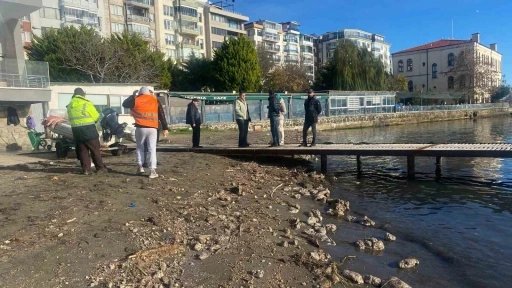 Sinop&rsquo;ta deniz y&uuml;zeyindeki kirlilik vatandaşları endişelendirdi
