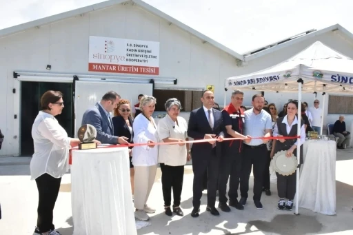 Sinop&rsquo;ta istiridye mantarı ve dikey tarım tesisi a&ccedil;ıldı
