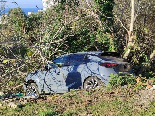 Sinop&rsquo;ta kontrolden &ccedil;ıkan otomobil ağa&ccedil;lık alana devrildi
