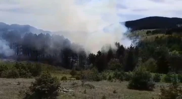 Sinop’ta korkutan orman yangını
