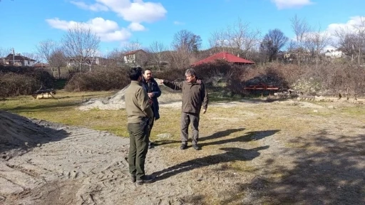 Sinop&rsquo;ta leylek pop&uuml;lasyonu projesi sahada incelendi
