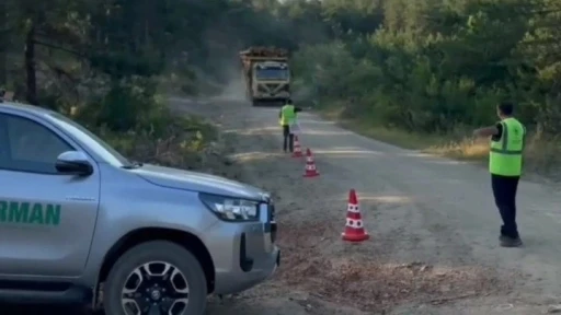 Sinop’ta orman kaçakçılığına karşı sıkı denetim
