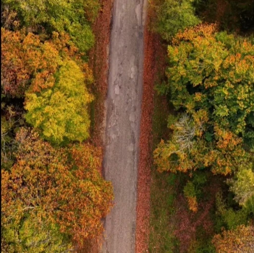Sinop’ta sonbahar güzelliği
