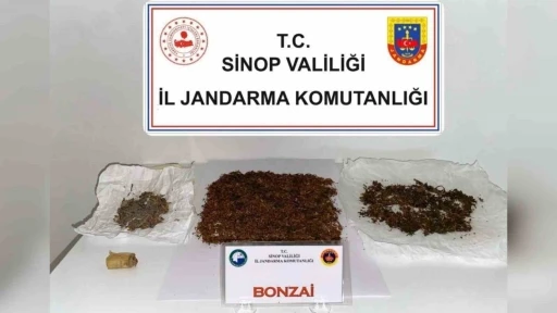 Sinop’ta zehir operasyonu
