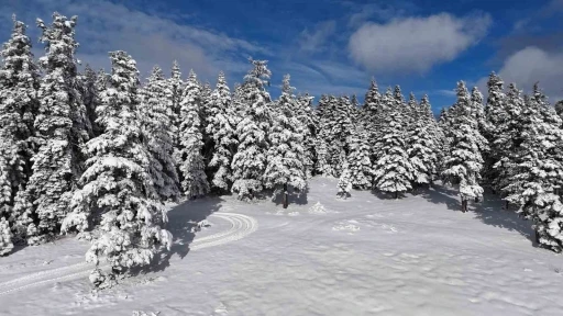Sinop&rsquo;tan kar manzaraları
