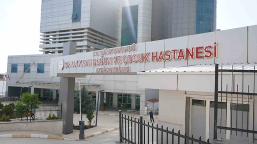 Şırnak’ın ebeleri anneliği anlattı
