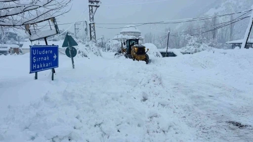 Şırnak&rsquo;ta 2 hasta i&ccedil;in zamanla yarış
