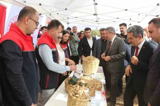 Şırnak’ta 25 bin ton yer fıstığı rekoltesi bekleniyor
