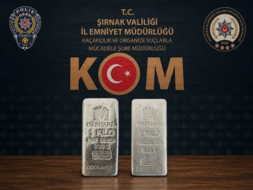 Şırnak&rsquo;ta 4,3 milyonluk ka&ccedil;ak&ccedil;ılık engellendi: 2 ş&uuml;pheli tutuklandı, 46 ş&uuml;pheliye işlem yapıldı
