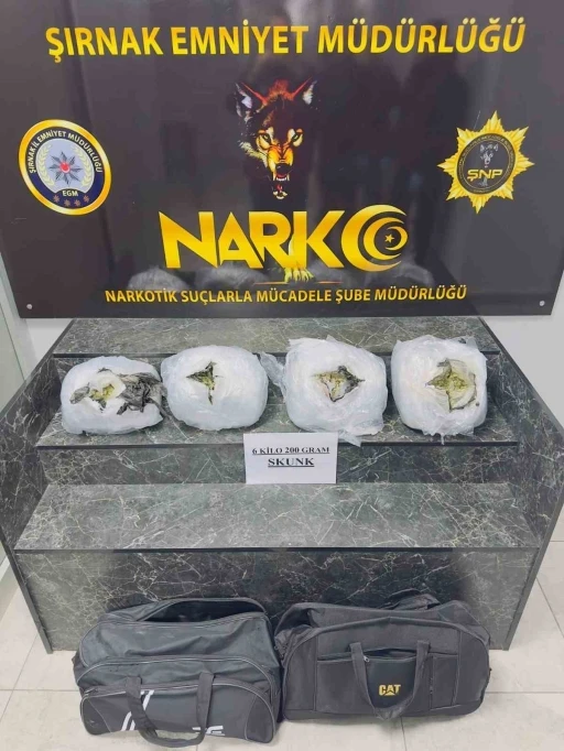 Şırnak&rsquo;ta 6 kilo 200 gram skunk ele ge&ccedil;irildi
