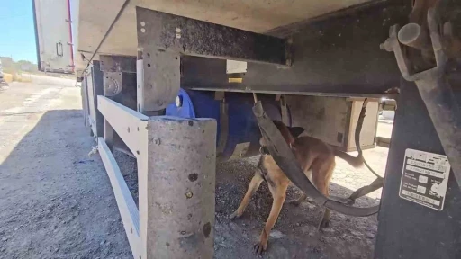 Şırnak’ta aracında 30 kilo uyuşturucuyla yakalanan şahıs tutuklandı
