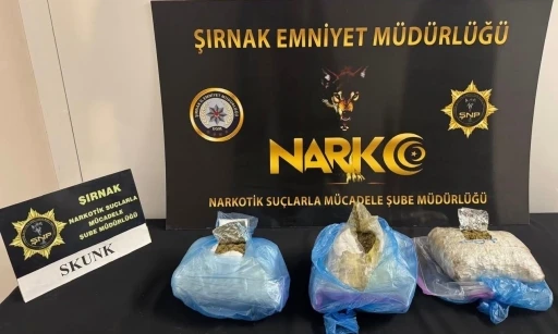 Şırnak&rsquo;ta asayiş, narkotik ve ka&ccedil;ak&ccedil;ılık operasyonlarında 4 tutuklama

