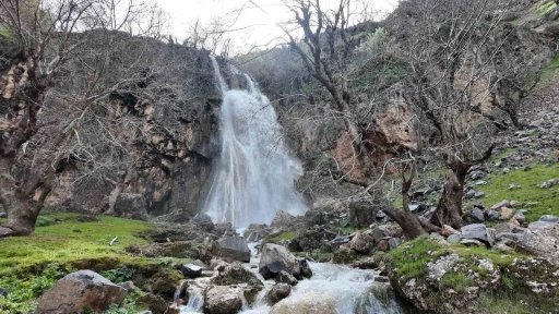 Şırnak&rsquo;ta baharla birlikte şelaleler coştu
