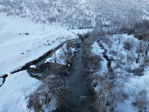Şırnak&rsquo;ta dereler buz tuttu
