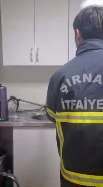 Şırnak’ta iş yerinde yılan paniği
