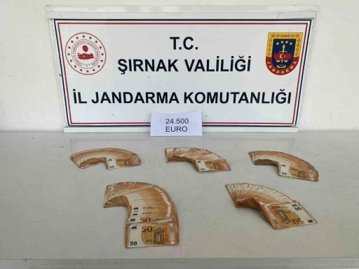 Şırnak&rsquo;ta jandarmadan ka&ccedil;ak&ccedil;ılığa b&uuml;y&uuml;k darbe
