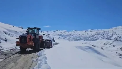 Şırnak’ta kar 25 santimi geçti
