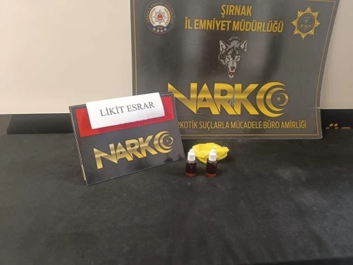 Şırnak&rsquo;ta kargoda likit uyuşturucu ele ge&ccedil;irildi
