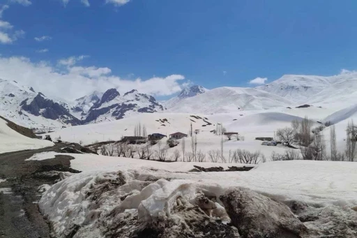 Şırnak&rsquo;ta karla m&uuml;cadele devam ediyor
