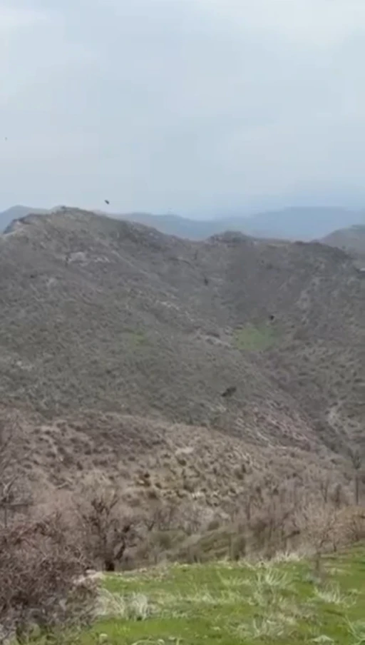 Şırnak&rsquo;ta kartalın domuz avı kamerada
