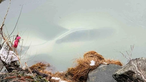 Şırnak&rsquo;ta k&ouml;yl&uuml;ler &ccedil;aya u&ccedil;an ara&ccedil;tan kurtardıkları 3 yaralıyı evlerinde ağırlayıp, ısınmalarını sağladı
