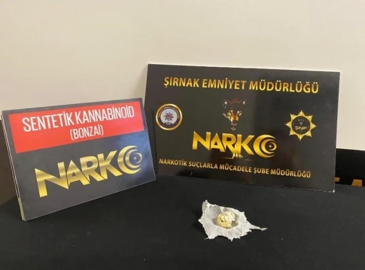 Şırnak&rsquo;ta narkotik ve ka&ccedil;ak&ccedil;ılık operasyonu: 4 tutuklama
