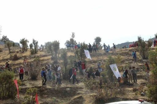 Şırnak’ta &quot;Adliye Hatıra Ormanı&quot; kuruldu
