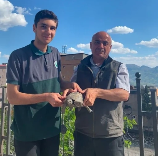 Şırnak’ta yaralı yaban hayvanları koruma altına alındı
