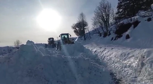 Şirvan&rsquo;da kar yağışı başladı
