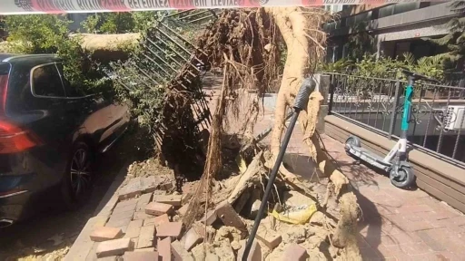 Şişli’de park halindeki araçların üzerine ağaç devrildi
