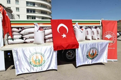 Sivas’ta çiftçilere 285 ton nohut tohumu dağıtıldı
