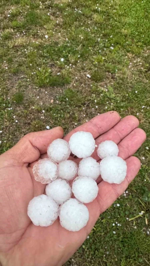 Sivas&rsquo;ta fındık b&uuml;y&uuml;kl&uuml;ğ&uuml;nde dolu yağdı, ağa&ccedil;lar &ccedil;i&ccedil;ek d&ouml;kt&uuml;

