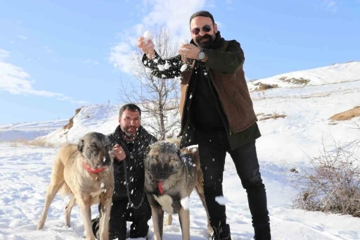 Sivas&rsquo;ta kar yağdı, kangallar &ouml;z&uuml;ne d&ouml;nd&uuml;
