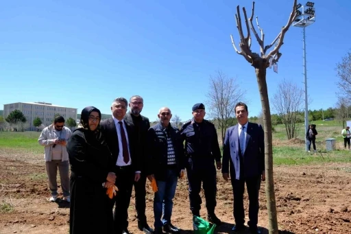 Sivas&rsquo;ta şehitlerin adı fidanlarda yaşatılacak
