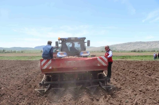 Sivas’ta tohumluk patatesler toprakla buluştu
