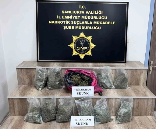 Siverek’te 7 kilo skunk ele geçirildi, 3 gözaltı
