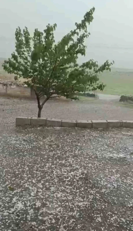 Siverek&rsquo;te ceviz b&uuml;y&uuml;kl&uuml;ğ&uuml;nde dolu yağdı
