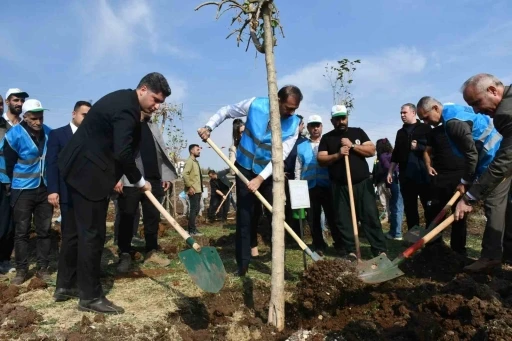 Siverek’te fidanlar geleceğe nefes olacak
