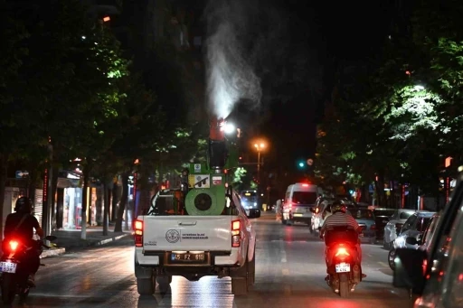 Sivrisineklere karşı eş zamanlı ila&ccedil;lama
