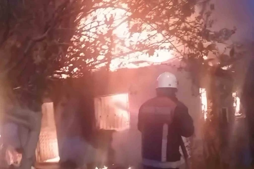 Sobadan &ccedil;ıkan yangın evi k&uuml;l etti
