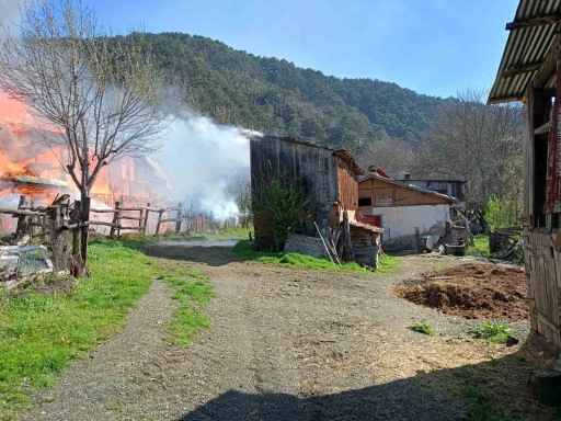 Sobadan çıkan yangın evi küle çevirdi
