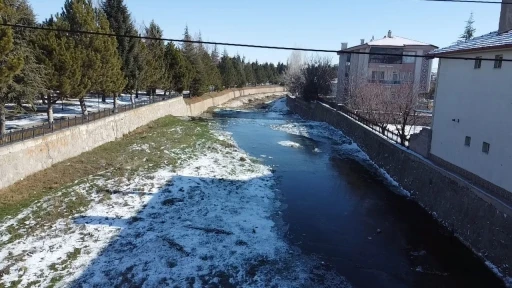 Soguk hava nedeniyle Gali &Ccedil;ayı biz tuttu
