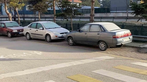 Soğuk hava sebebiyle &ccedil;imler ve otomobil camları buz tuttu
