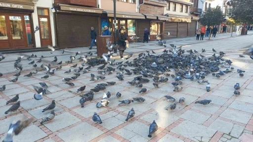 Soğukta &uuml;ş&uuml;yen kuşlar i&ccedil;in 5 kilometrelik şefkat yolculuğu
