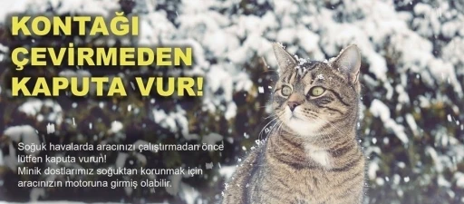 Soğuktan korunmak i&ccedil;in girdiği ara&ccedil;ta sıkışan kedi kurtarıldı

