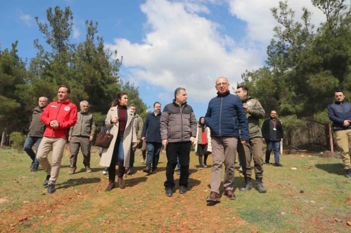 Sokak hayvanları için örnek proje
