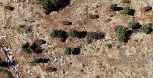 Sokak hayvanları sıcak yuvaya kavuştu
