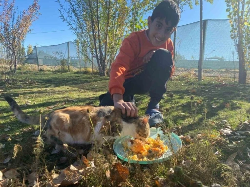 Sokak hayvanlarını elleriyle besliyor, onlara yuva oluyor
